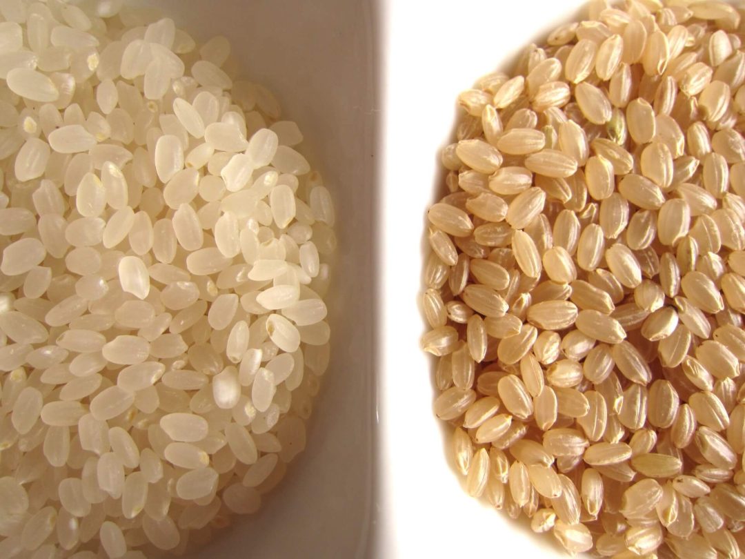 玄米とは何なのか、白米との違いについての豆知識 – 渡辺農産
