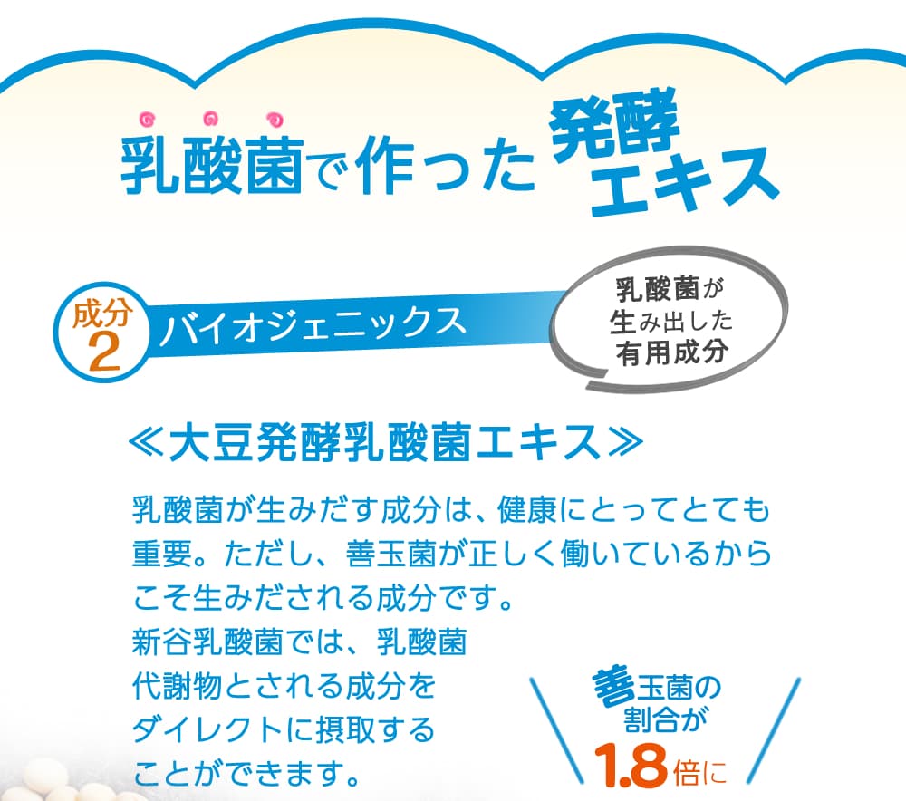 食生活は、肉や加工食品の増加、発酵食品の摂取量の減少、過度のストレスなどでも減少するので、「乳酸菌」を含んだ食品を積極的に取り入れる事が美と健康を維持するためには非常に大切です。