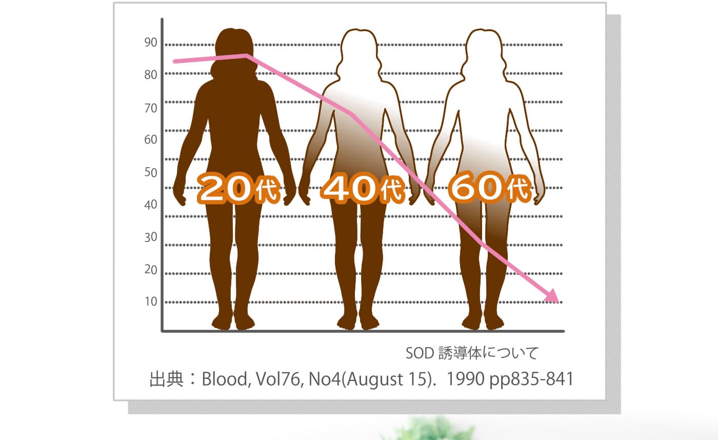 年齢とともに減っていく酵素。