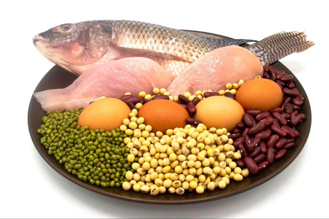 動物性タンパク質と植物性タンパク質の違いとは？食事の比率と筋肉への栄養補給を解説