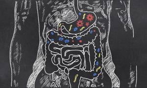 胃と腸