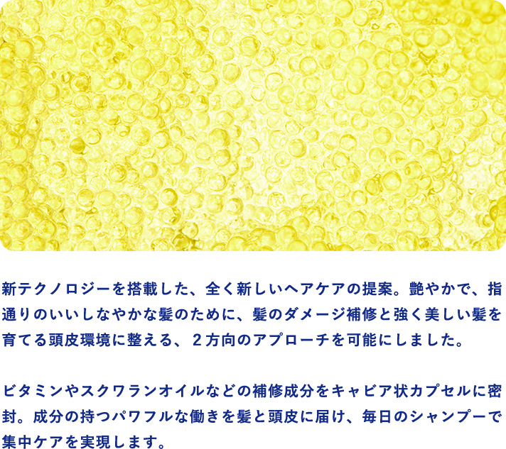 SIRTFL新商品発売記念！「CCシャンプー＆トリートメント」 先行