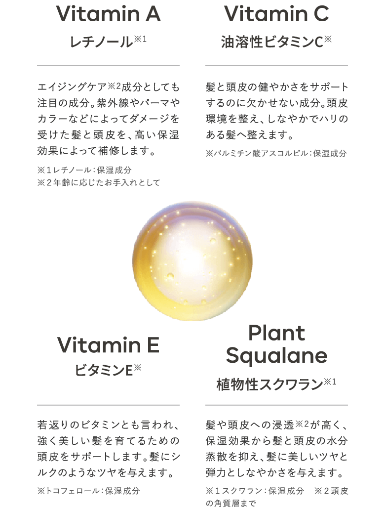 補修成分の図