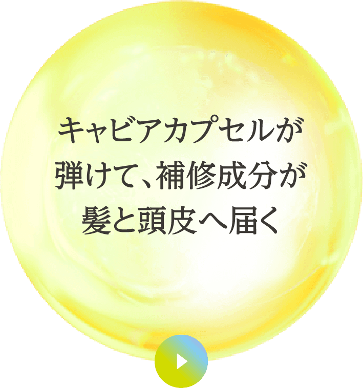 キャビアカプセルが弾けて、補修成分が髪と頭皮へ届く