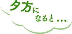 夕方になると...