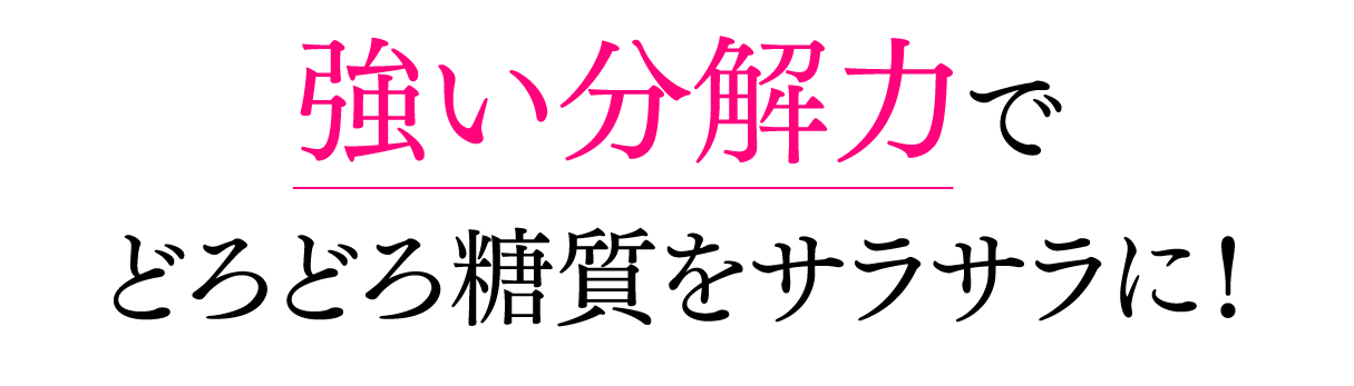 強い分解力でどろどろ糖質をサラサラに！