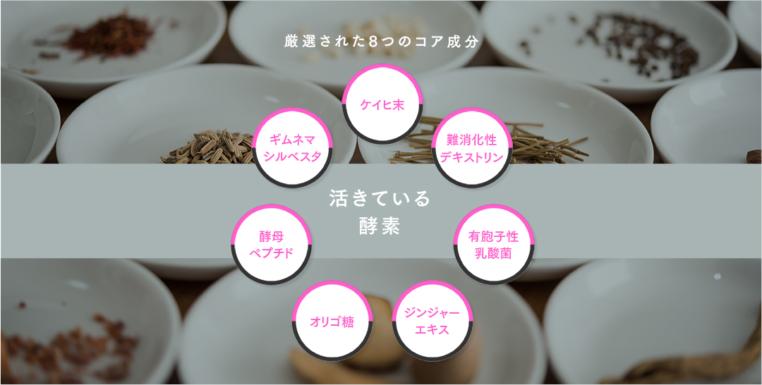 厳選された8つのコア成分 ギムネマシルベスタ ケイヒ末 難消化性デキストリン 活きている酵素 有胞子乳酸菌 ジンジャーエキス オリゴ糖 酵母ペプチド