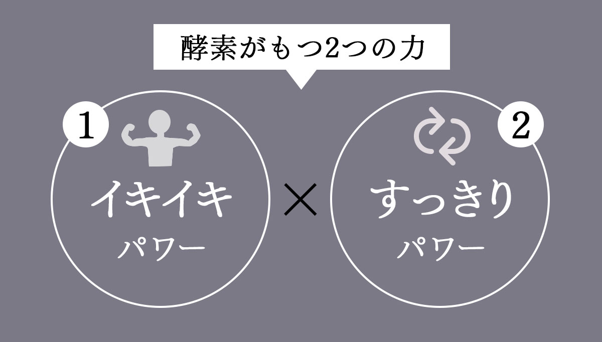 乱れた食生活に活きている酵素が必要な理由