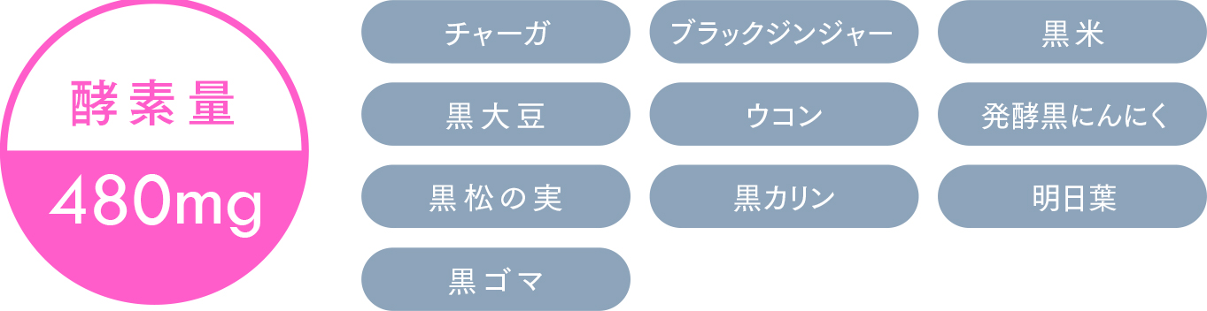 酵素量：480mg 成分：チャーガ ブランクジンジャー 黒米 黒大豆 ウコン 発酵黒にんにく 黒松の実 黒カリン 明日葉