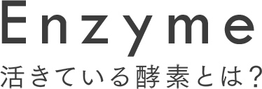 Enzyme 生きている酵素とは？