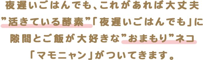 夜遅いごはんでも マモニャン 夜遅いごはんでも マモニャン